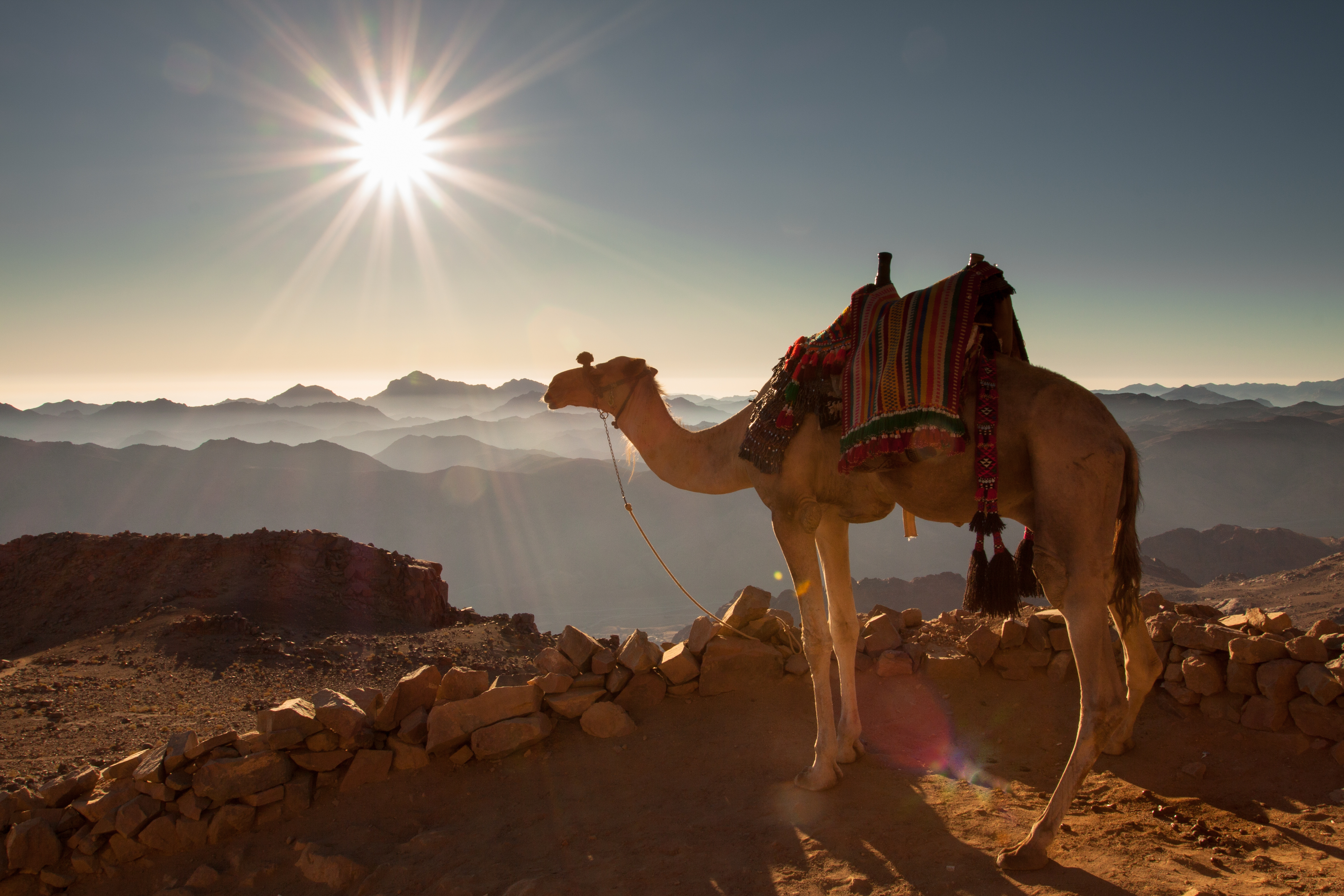 Sinai: Eremit auf Zeit im Beduinengarten