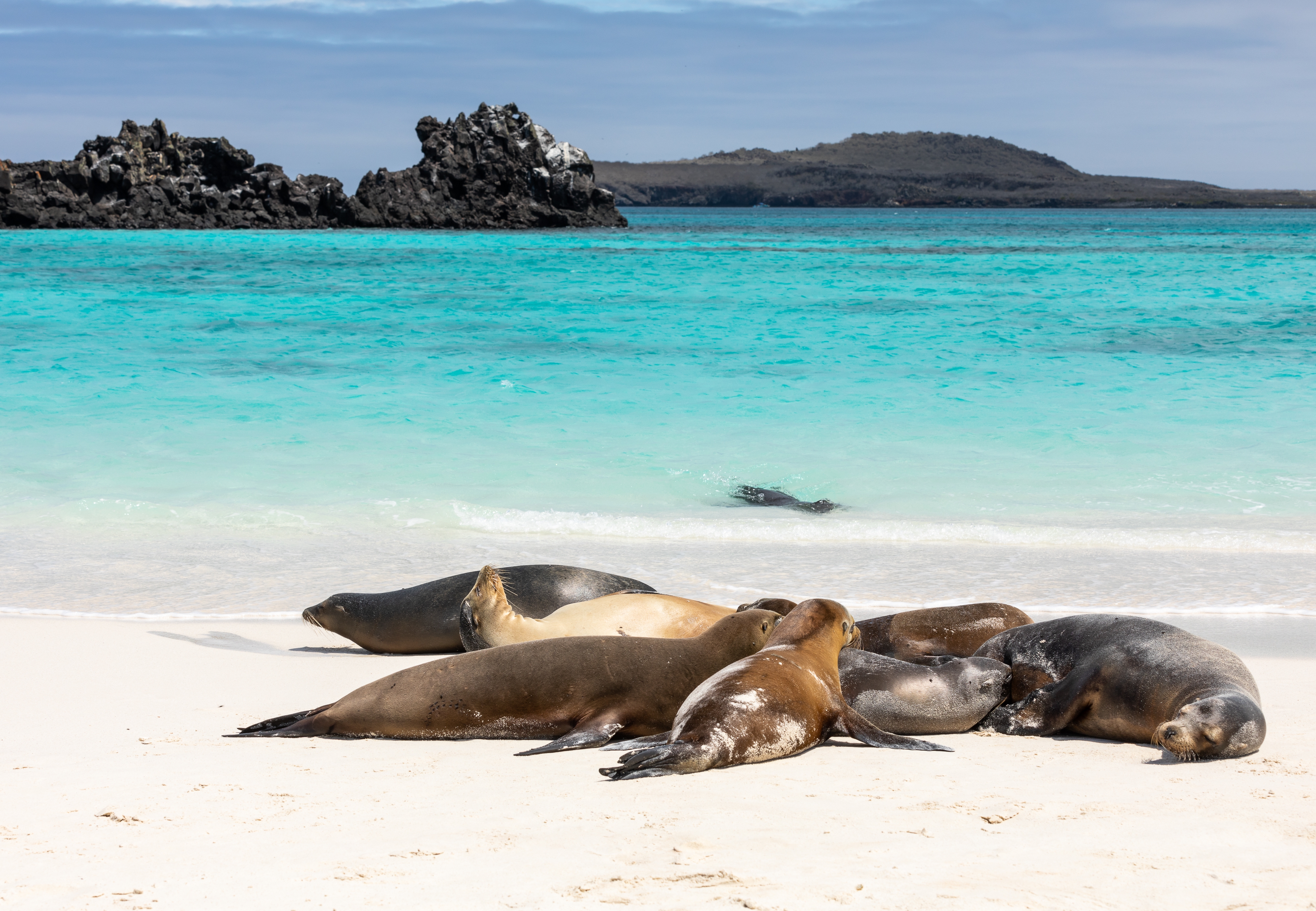 Peru & Ecuador: Höhepunkte mit Galapagosinseln