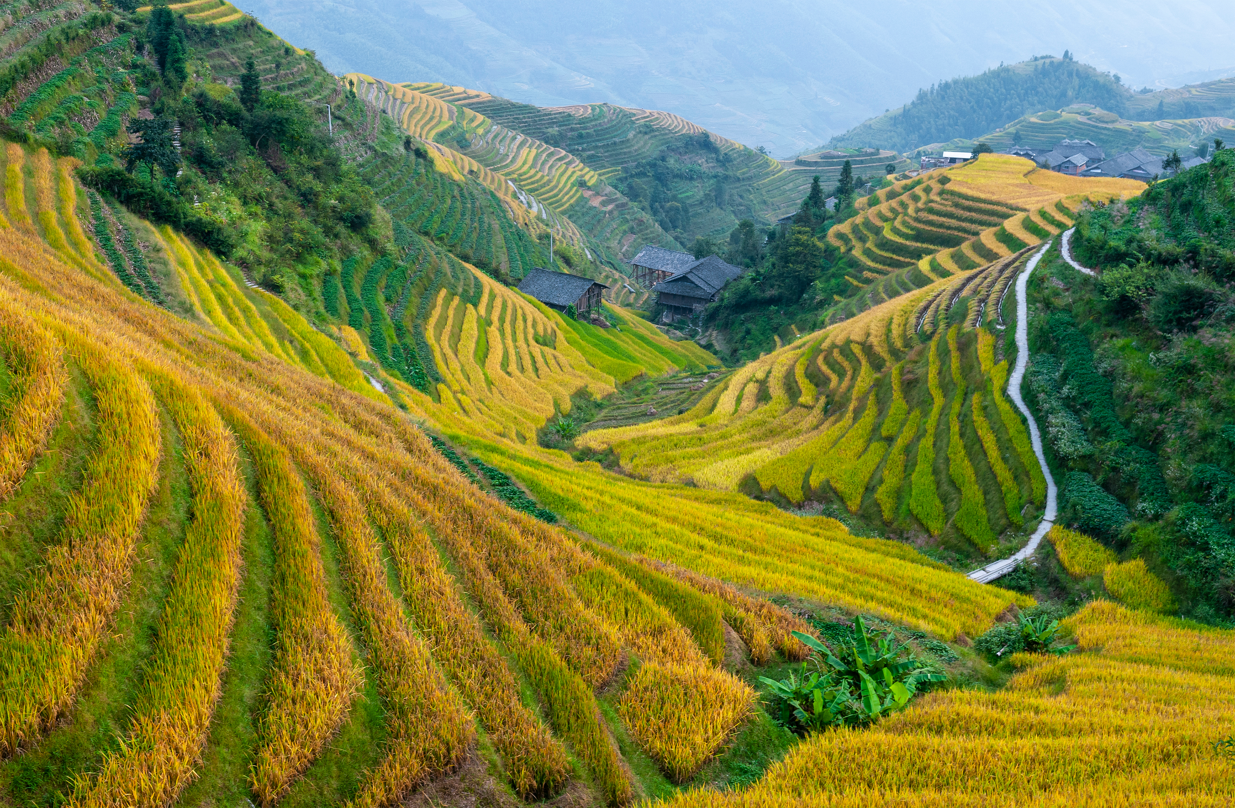 China: Impressionen