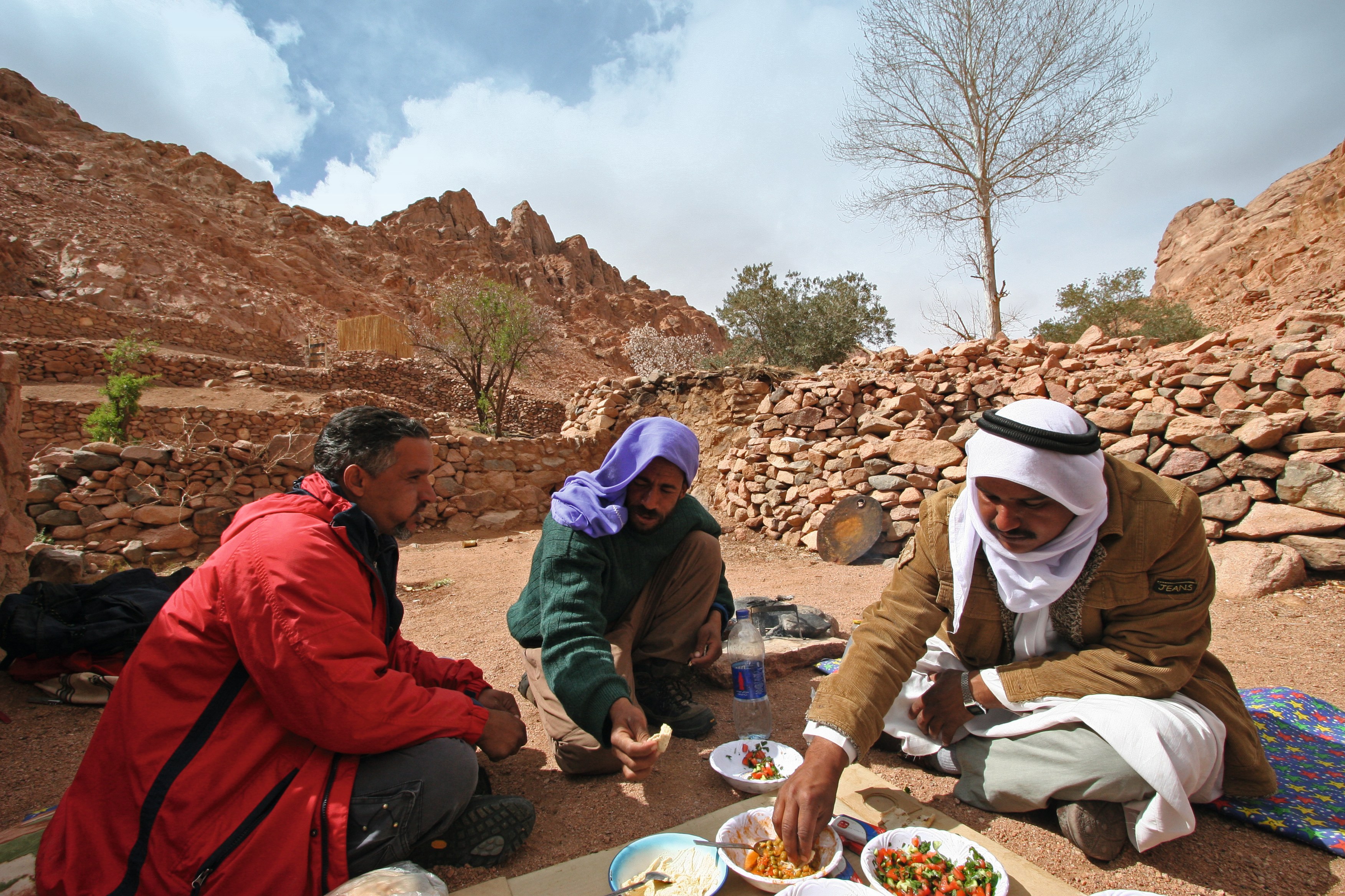 Sinai: Eremit auf Zeit im Beduinengarten